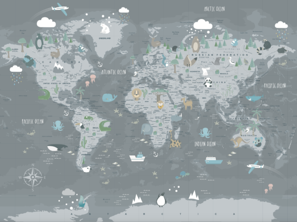 Country World Map - Imagen 2